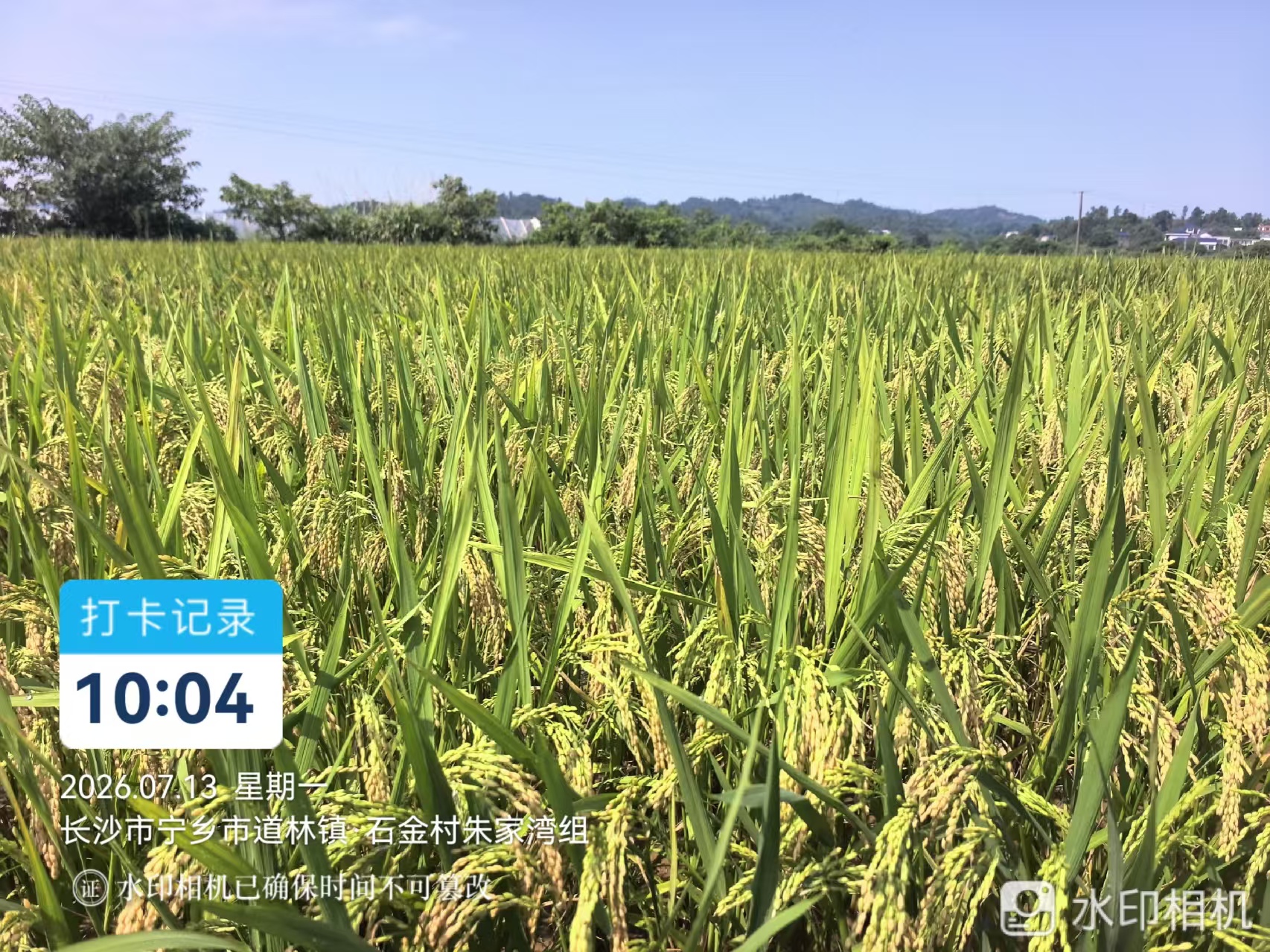 巡田日志