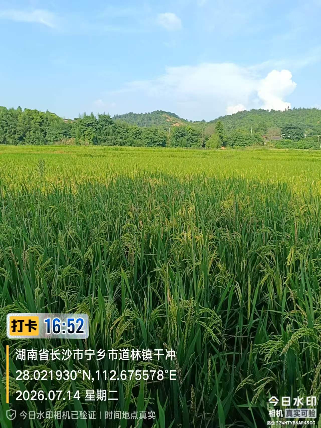 巡田日志