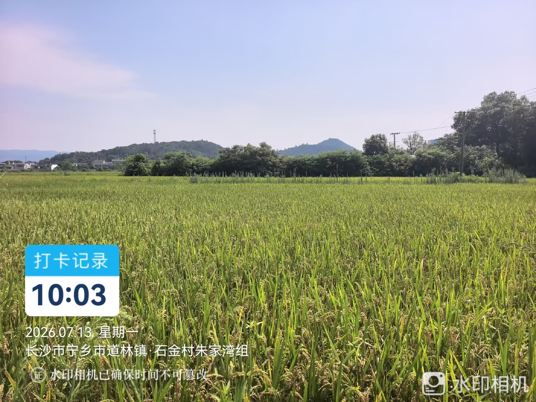 巡田日志